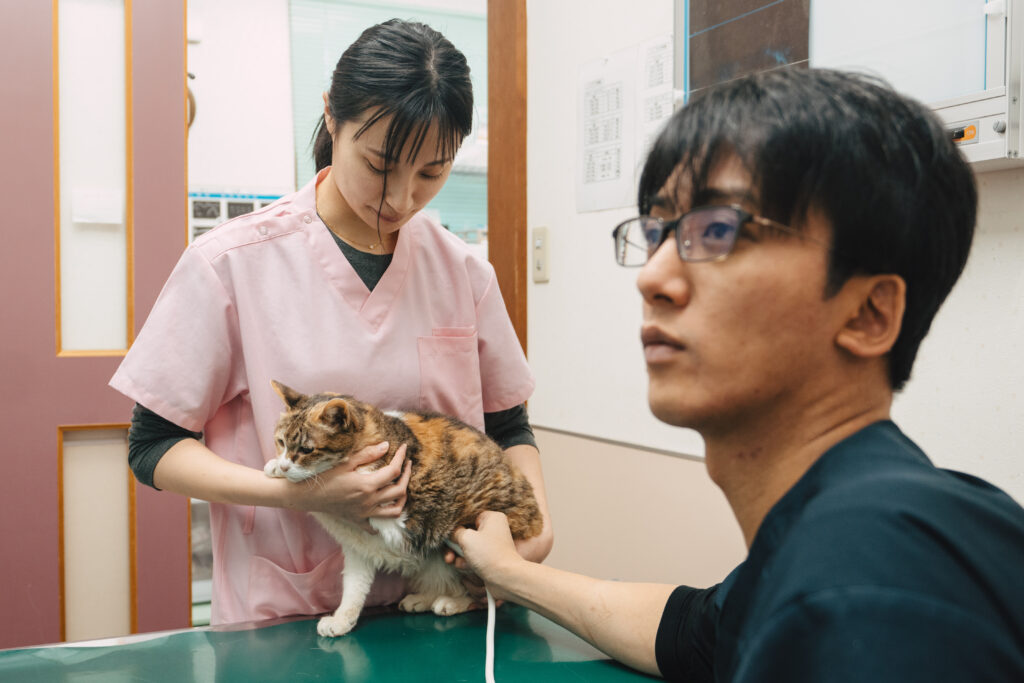 診察している柏原獣医師