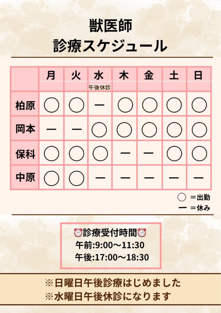 獣医師診療スケジュール